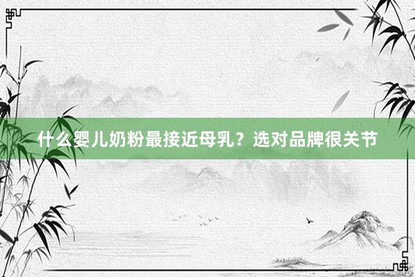 什么婴儿奶粉最接近母乳？选对品牌很关节